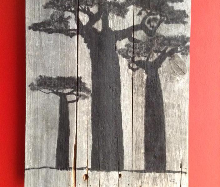 Baobabs 2