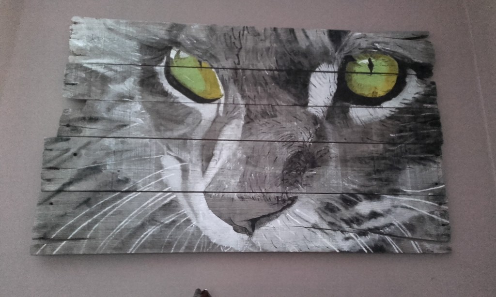 Vue d'un chat