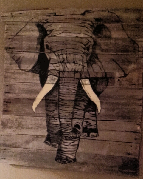 Eléphant