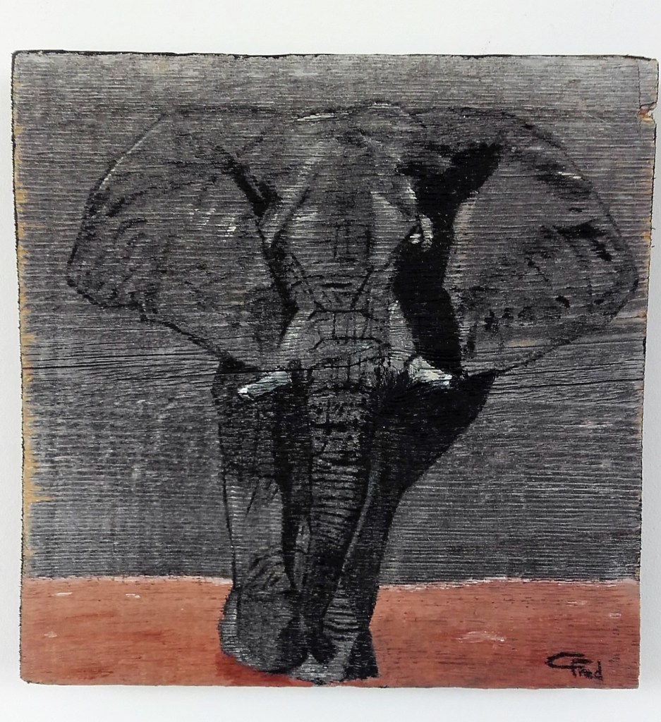 Gris Eléphant