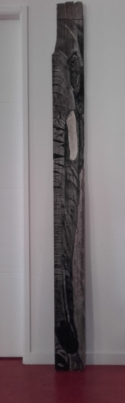 Planche d'éléphant 3